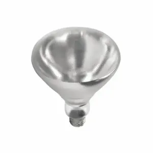 SHAT-R-SHIELD 01697W Incandescent Heat Bulb, R40, Medium Screw, 250W Watts, 1200 lm, Incandescent | CU2PBK 55VR71