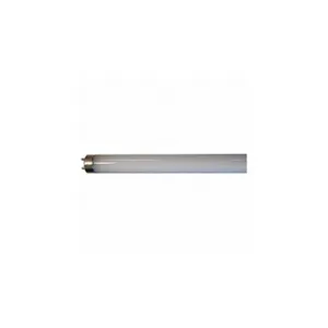 SHAT-R-SHIELD 06654E Linear LED Bulb, 4 ft Nominal Length, T8, Medium Bi-Pin, 12 W Watts, 1800 lm, LED | CU2PCH 55VR58