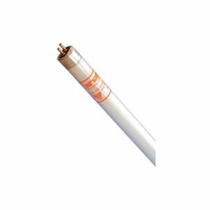 SHAT-R-SHIELD F54T5/841/HO/ECO/IC (PKX 24) Linear Fluorescent Bulb, 4 ft Nominal Length, T5, Miniature Bi-Pin, 54W LFL, 5000 lm | CU2PEL 54YG46
