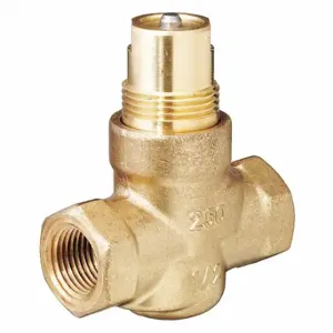 SIEMENS 599-01104 Two-Way Valve | CU2RWJ 284Z43