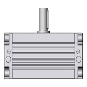 SMC VALVES CRA1BS100-100CZ Rotary Actuator, 100 mm Size, Double Acting | AN8DNM