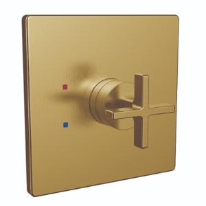 SPEAKMAN CDCPT25001-BBZ Shower Valve Trim | CD9ZJP