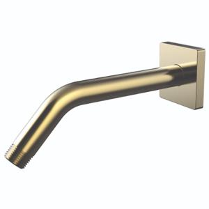 SPEAKMAN CDS2501-BBZ Shower Arm and Flange | CD9ZKF