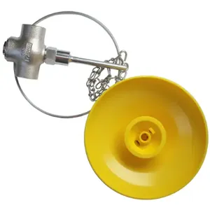 SPEAKMAN G20-1825 Self Closing Valve, Plastic Head, Size 8 Inch | CE2CME