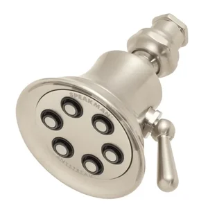 SPEAKMAN S-2254-BN Shower Head | CD9ZQM