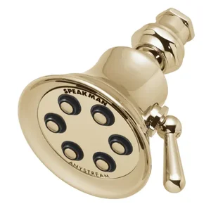 SPEAKMAN S-2254-PB Shower Head | CD9ZQT