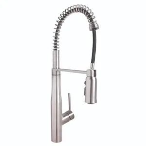 SPEAKMAN SB-1043-SS Spring Kitchen Faucet | CE2ACU