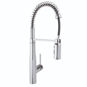 SPEAKMAN SB-1043 Spring Kitchen Faucet | CE2ACQ