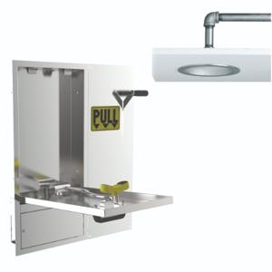 SPEAKMAN SE-575-DP-237 Laboratory Eye And Face Wash And Emergency Shower, Wall Mounted, Swing Down | CE2BHP