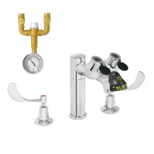 SPEAKMAN SEF-1801-TW Eyewash Faucet, With Eyewash TMV | CE2BNG