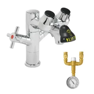 SPEAKMAN SEF-1850-TW Laboratory Eyewash Faucet, Single Post, With Eyewash TMV | CE2BQP