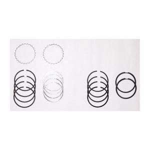 SPEEDAIRE 10H741 Piston Ring Replacement Kit | AA2GKK