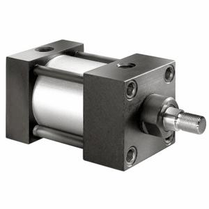 SPEEDAIRE 6X392 Air Cylinder 2 1/2 Inch Bore 8 Inch Stroke | AF2PNT