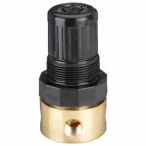 SPEEDAIRE 4ZM05 Air Regulator 1/8 Inch Npt 10 Cfm 400 Psi | AE2VAF