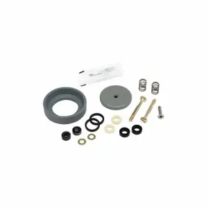 SPEEDAIRE BCDV-KIT-1 Rebuild Kit | CU4DMX 494N25