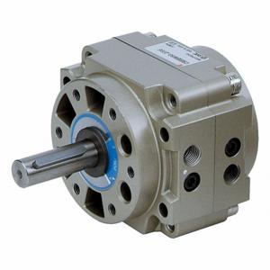 SPEEDAIRE CDRB1BW63-180S Rotary Actuator, Vane Style, 180 Deg. Rotation Angle, 63 mm Model Size | CU4EEN 5PFA0