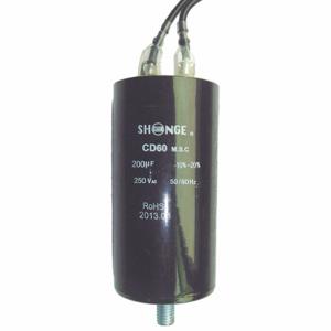 SPEEDAIRE PN22N066G Starting Capacitor | AG9DPM 19NC14