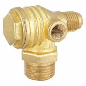 SPEEDAIRE PN22N071G Check Valve | AG9DPT 19NC19