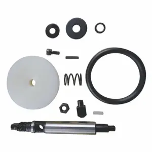 SPEEDAIRE PN31CC45001G Piston Kit | CU4CWP 36CJ76