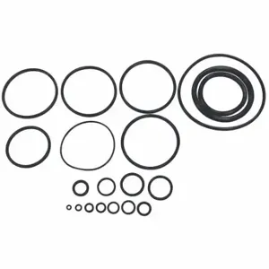 SPEEDAIRE PN31CCP09G O-Ring Kit | CU4CCX 36CJ55