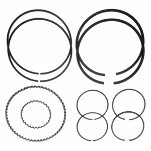 SPEEDAIRE TF006900AJ Ring Kit | AH3TFJ 33MJ03