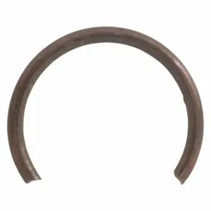 SPEEDAIRE TT154943G Retaining Ring | CU4EDK 45P268