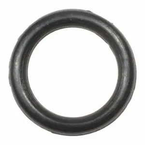 SPEEDAIRE TT295005G O-Ring | CU4CCD 45R025