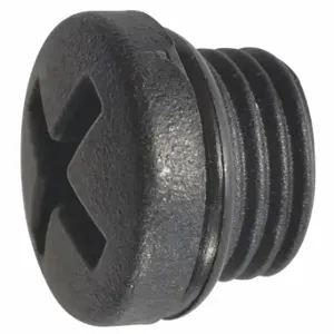 SPEEDAIRE TT38023G Valve Plug, For 3CRK2, TT38023G | CU4EBX 45R023