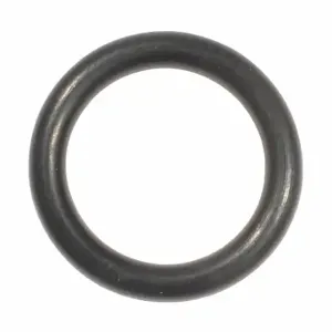 SPEEDAIRE TT40130G O-Ring | CU4CBT 45P823