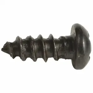 SPEEDAIRE TT44902G Screw, 2 PK | CU4DBP 45P815