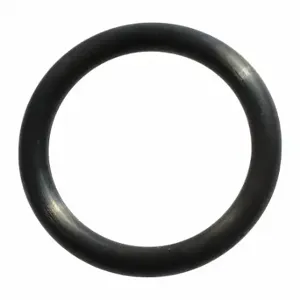 SPEEDAIRE TT731878G O-Ring | CU4CAU 45P098