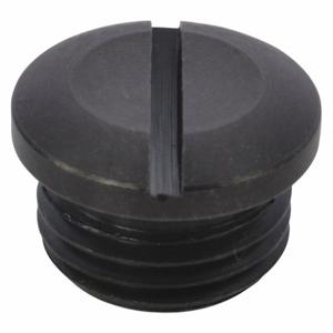 SPEEDAIRE TTR4420406G Valve Cap | AH9XXA 45R366