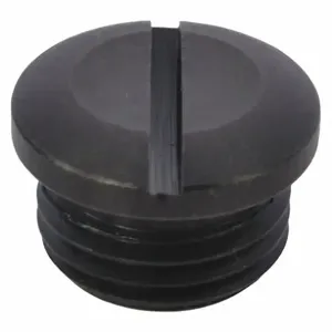 SPEEDAIRE TTR4420406G Valve Cap | AH9XXA 45R366