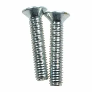 SPEEDAIRE TTRL41006G Screws, 2 PK | CU4DBY 45N478