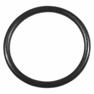 SPEEDAIRE TTST25150G O-Ring | CU4CAZ 45M028