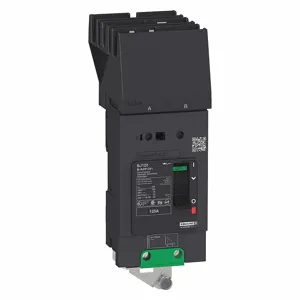 SQUARE D BJA260601 Molded Case Circuit Breaker, 65kAIC at 480V, 60A, 2 Pole | CE6HXD