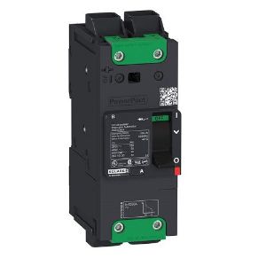 SQUARE D BDL26060 Kompakt-Leistungsschalter, 60 A, 2P, Kippbetätiger | CE6JLK