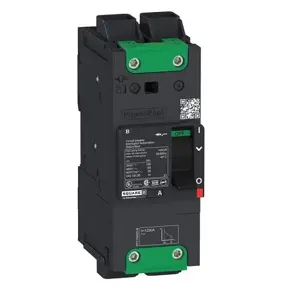 SQUARE D BDL26070 Molded Case Circuit Breaker, 70A, Number Of Poles 2, Series Bdl | CE6JLL 482D18