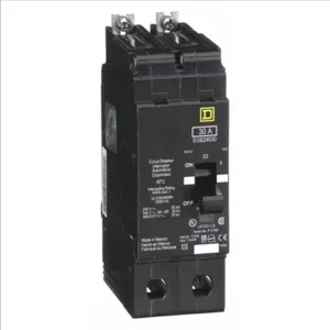 SQUARE D EGB24030 Bolt On Circuit Breaker Egb 30 Amp 480vac 2p 35kaic@480v | AG8MYT