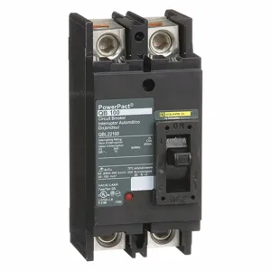 SQUARE D QBL22100 Circuit Breaker, Feed-thru, 100 A, 240 VAC, 2P, 10kAIC@240V | AG8TXC