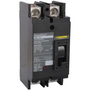 SQUARE D QBL22100 Circuit Breaker, Feed-thru, 100 A, 240 VAC, 2P, 10kAIC@240V | AG8TXC