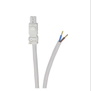 STEGO 244357 Power Cable, Input To Pigtail, 6.5 ft. Cable Length | CV7EDV