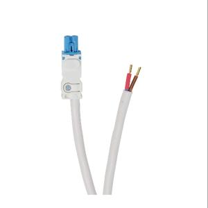 STEGO 244361 Power Cable, Input To Pigtail, 6.5 ft. Cable Length | CV7EDX