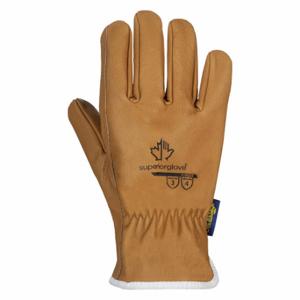 SUPERIOR GLOVE 378GOBL Leather Gloves, Size L, Goatskin, Premium, Glove, Full Finger, Unlined, Brown, 12 PK | CT2UYL 49R697