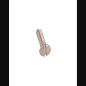 T&S 000919-45 Mounting Screw | AP6QMT