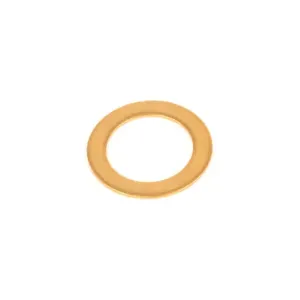 T&S 000997-45 Brass Washer | AP6QPW