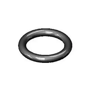 T&S 001080-45 O Ring, For Bonnet, Top | AP6RYU