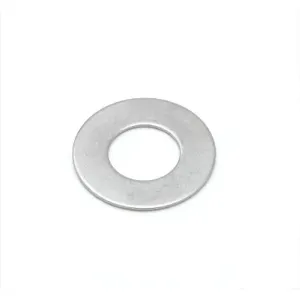 T&S 002726-45 Washer, 15/16 Inch OD, 15/32 Inch ID, 1/32 Inch Thick, Stainless Steel | AP6YCY