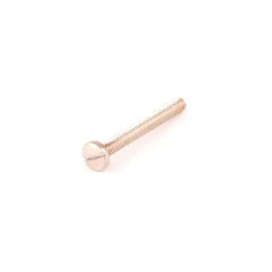 T&S 002819-45 Screw, For Escutheon | AP6YDJ