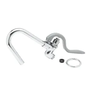 T&S 002851-40 Hook Nozzle and Self-Closing Valve, Gray | AP6YEH